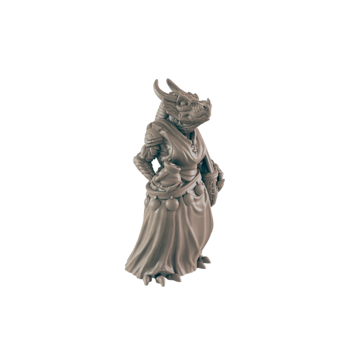 A dragonborn miniature stands in a neutral pose, seemingly dressed as a cleric or mage, against a black background.