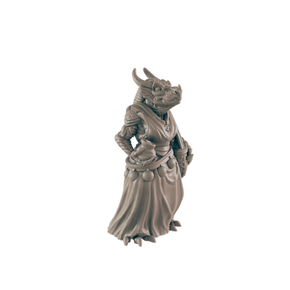 A dragonborn miniature stands in a neutral pose, seemingly dressed as a cleric or mage, against a black background.