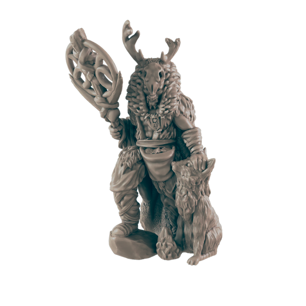 Druid Human Male