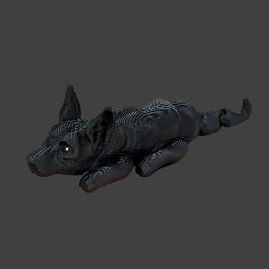 Xolo