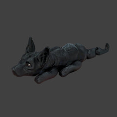 Xolo