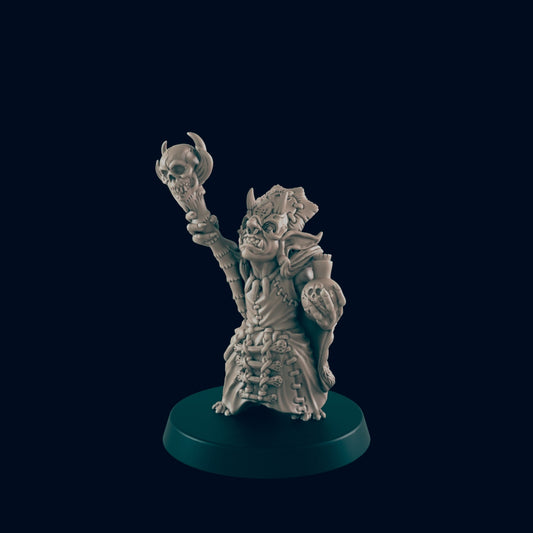 A goblin miniature, holding a skull-topped staff and a skull, stands on a dark circular base.