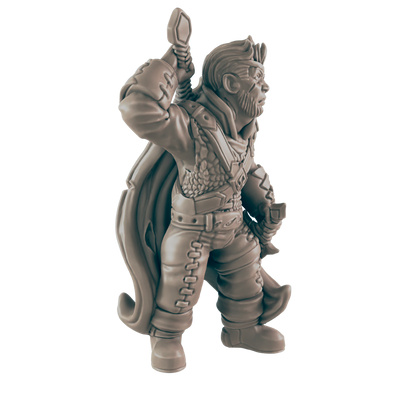 A miniature dwarf figure, wielding a hammer, stands in a three-quarter view.  He wears chainmail and a cloak.