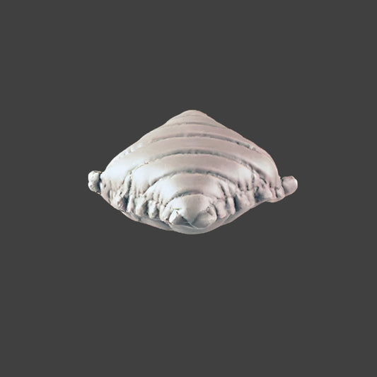 Desert Decor - Cushion 4