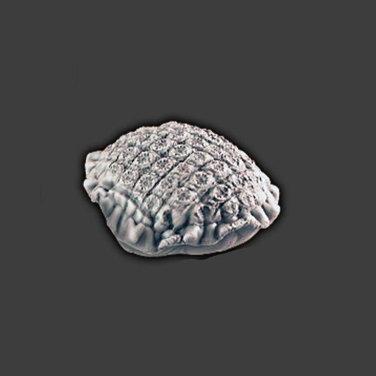 Desert Decor – Cushion 5