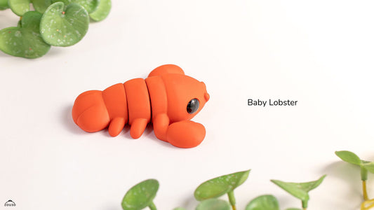 Baby Lobster