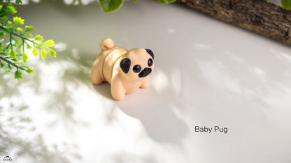 Baby Pug