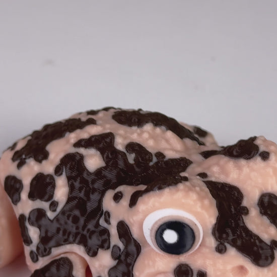Grace The American Ground Frog