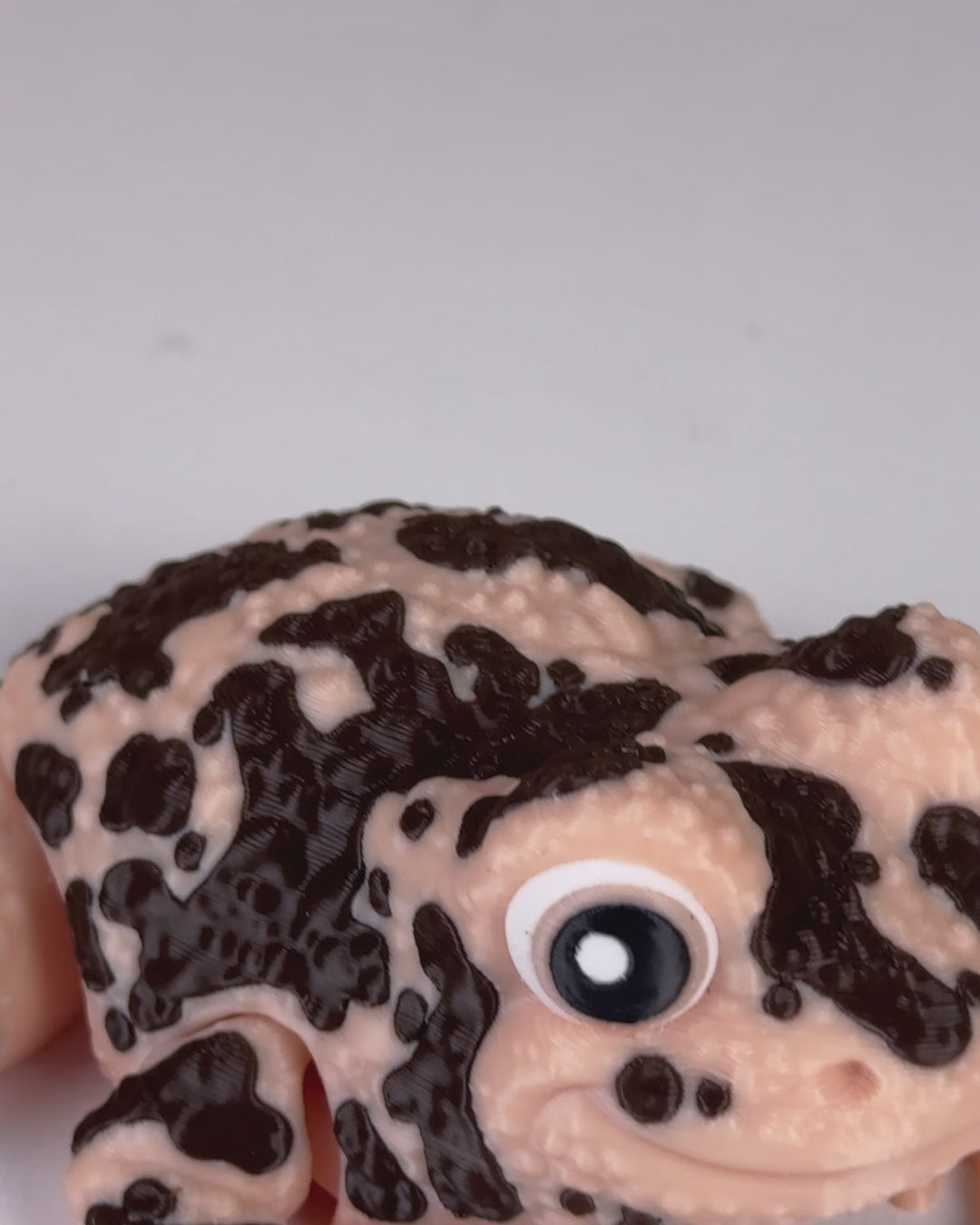 Grace The American Ground Frog