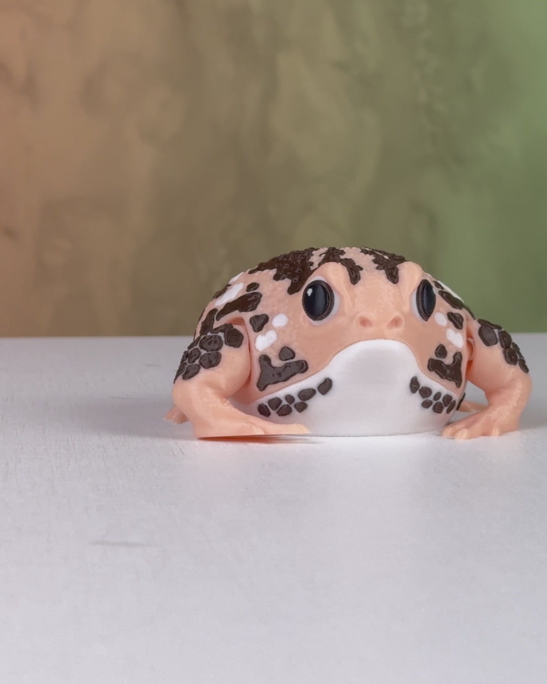 Humphrey The Rain Frog