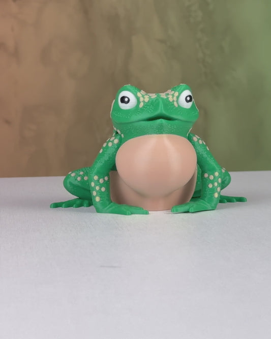 Kate the Cane Toad