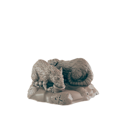 Two rats consume food from a small bowl on a rocky surface.