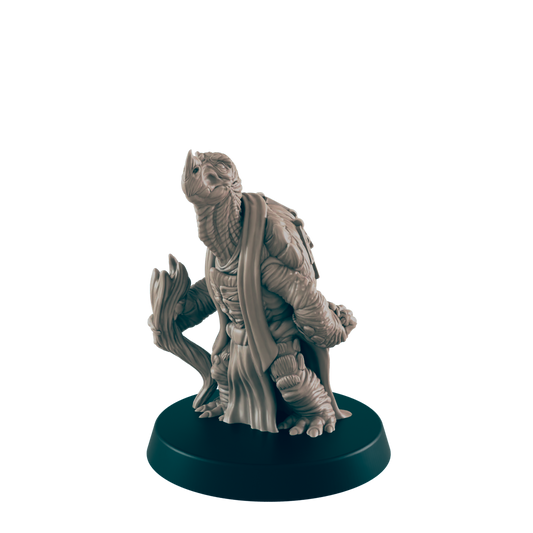 A turtle-like humanoid figurine stands on a dark circular base. It wears a robe and holds what seems to be a staff.  The figure is presented against a black background.