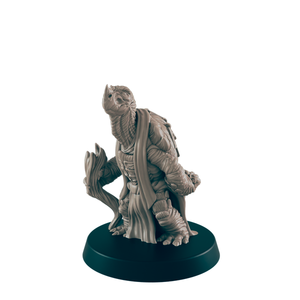 Turtlefolk Old Sage
